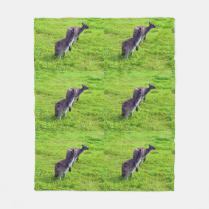 Australian Kangaroos On Grass Med Fleece Blanket