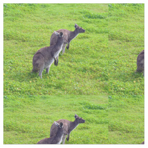 Australian Kangaroos On Green Pasture, Fabric