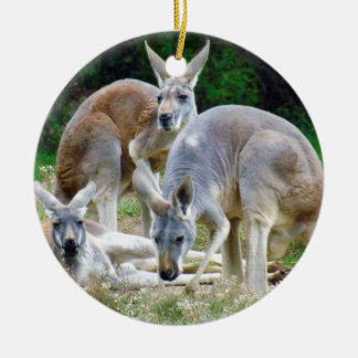 Australian Kangaroos Relaxing in the Sun Ceramic Ornament