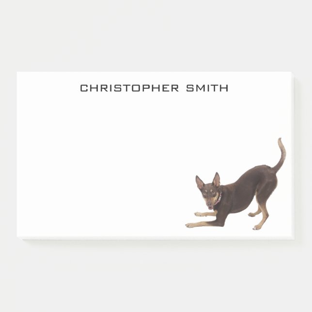 Australian Kelpie Dog Post-it Notes (Front)