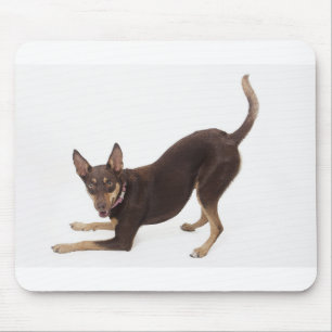 Australian Kelpie Mouse Pad