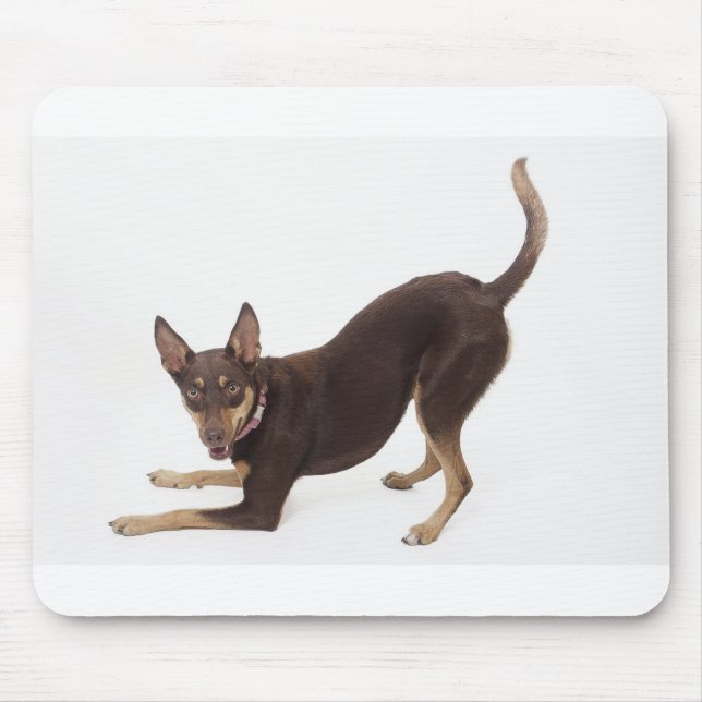 Australian Kelpie Mouse Pad (Front)