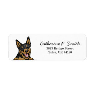Australian Kelpie Return Address