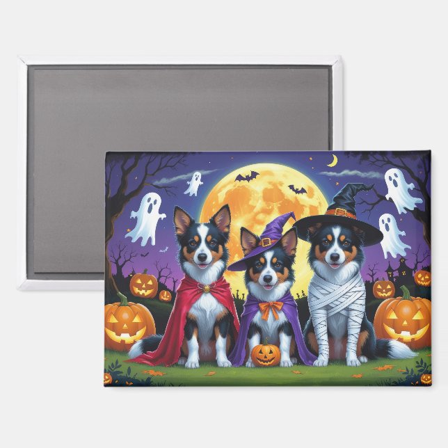 Australian Kelpies Dogs Pumpkin Halloween Funny Magnet (Front/Back)