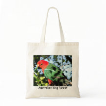 Australian King Parrot