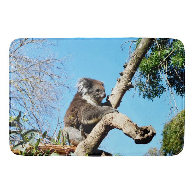 Australian Koala Bear In Old Pine Tree, Bath Mat (Front)