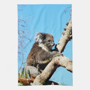Australian Koala Bear In Old Pine Tree, Kitchen Towel
