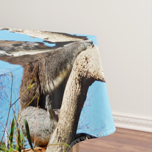 Australian Koala Bear In Old Pine Tree, Tablecloth (In Situ)