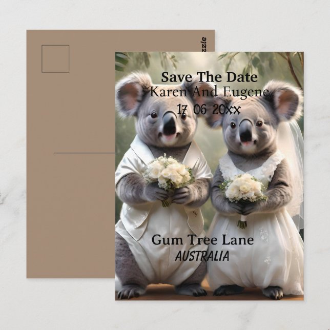 Australian Koala Bear White Wedding, Postcard (Front/Back)