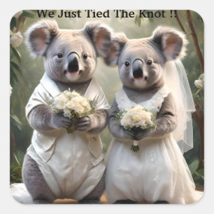 Australian Koala Bear White Wedding, Square Sticker