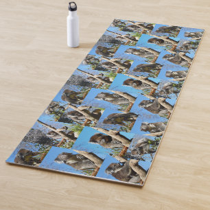 Australian Koala Bears Photo Collage, Yoga Mat