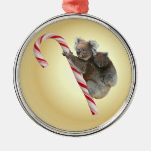 Australian Koala Christmas Candy Cane Metal Ornament