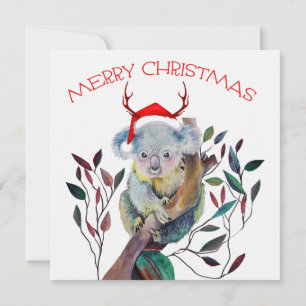 Australian Koala Santa Hat Merry Christmas Holiday Card