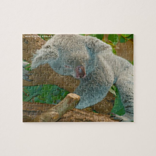 Australian Koalas Jigsaw Puzzle (Horizontal)