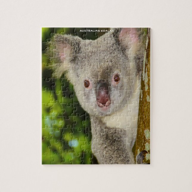 Australian Koalas Jigsaw Puzzle (Vertical)