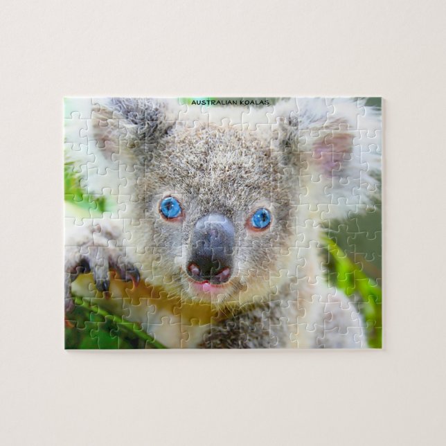 Australian Koalas Jigsaw Puzzle (Horizontal)