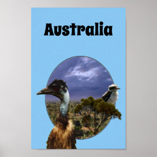 Australian Kookaburra And Emu, Poster
