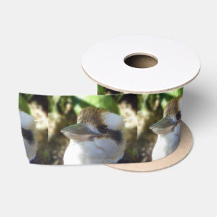 Australian Kookaburra Close Up,   Satin Ribbon