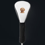 Australian Labradoodle Golf Head Cover<br><div class="desc">Australian Labradoodle</div>