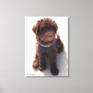 AUSTRALIAN LABRADOODLE PUPPY CANVAS PRINT