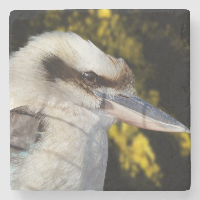 Australian Laughter The Kookaburra,   Stone Coaster (Front)