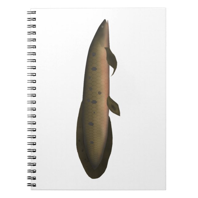 Australian Lungfish Notebook (Front)