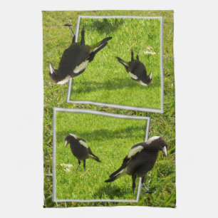 Australian Magpie Bird Popout Art, Kitchen Towel