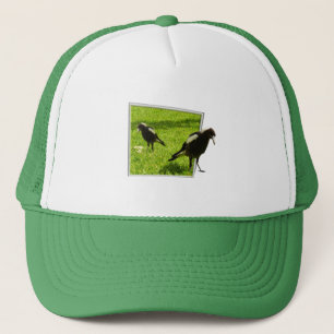 Australian Magpie Birds, Trucker Hat
