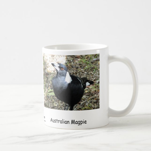 Australian Magpie Coffee Mug (Right)