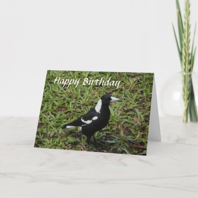 Australian Magpie Happy Birthday Card (Front)
