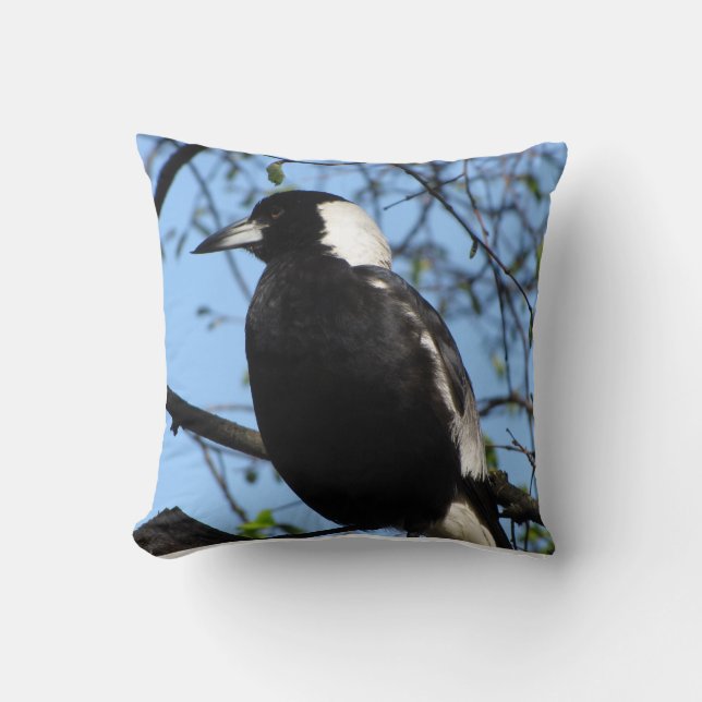 Australian Magpie  Throw Pillow (Front)