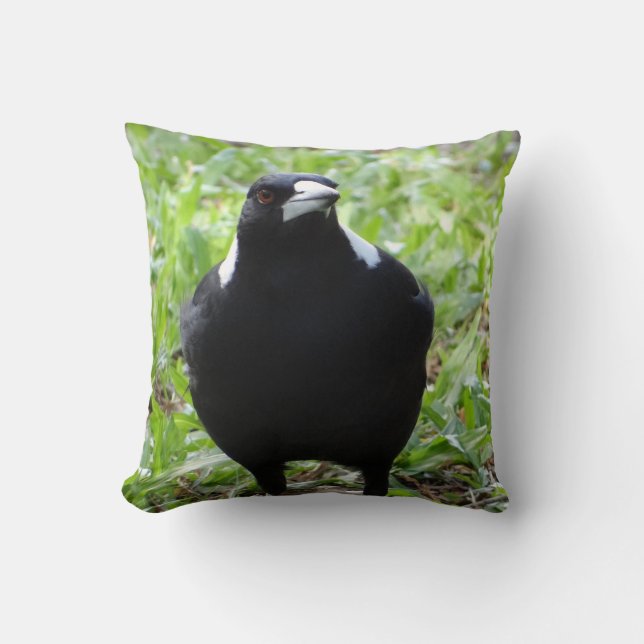 Australian Magpie Throw Pillow (Front)