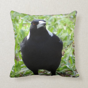 Australian Magpie Throw Pillow