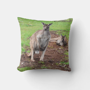 Australian Male Buck Kangaroo, Throw Cushion. Pillow