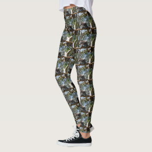Australian Male Koala Bear On The Move, Leggings