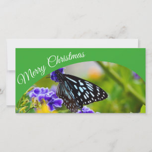 Australian Merry Christmas photo card