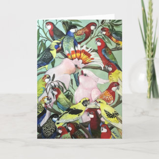 Australian Natives Christmas Card