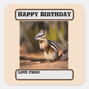 Australian Numbat, Birthday Square Sticker