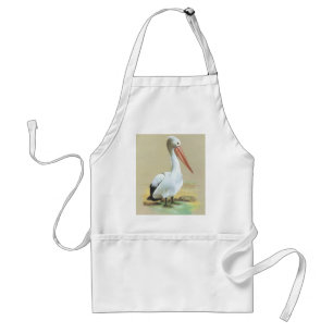 Australian Pelican  - Pelecanus conspicillatus Standard Apron