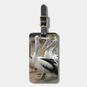 Australian Pelicans at Phillip Island Luggage Tag