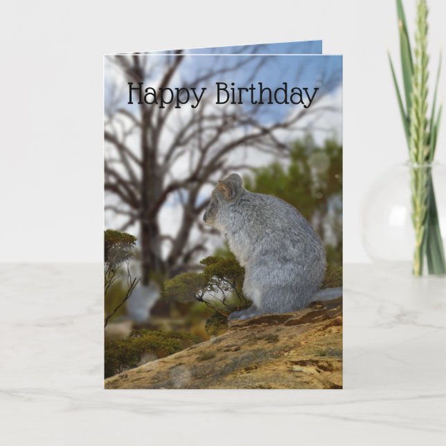 Australian Quokka Alert, Birthday Card, Card (Front)