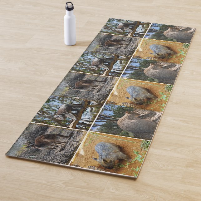 Australian Quokka, Koala, Wombat And Kangaroo, Yoga Mat (In Situ)
