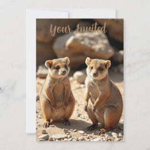 Australian Quokka Twins, Invitation