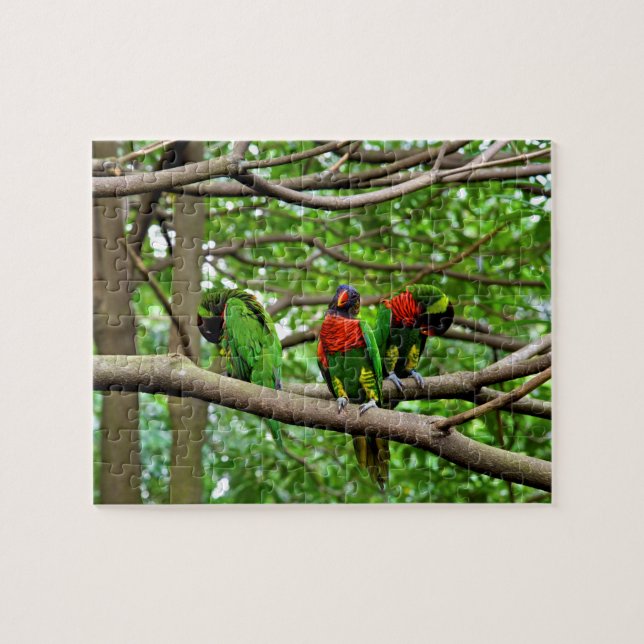Australian Rainbow Lorikeets Jigsaw Puzzle (Horizontal)