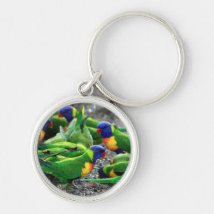 Australian Rainbow Lorikeets Keychain