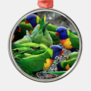 Australian Rainbow Lorikeets Metal Ornament