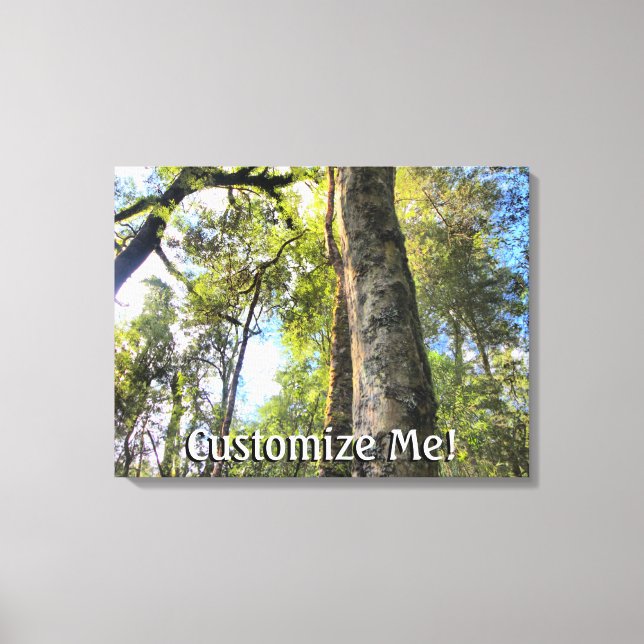 Australian Rainforest Eucalyptus Gum Trees Canvas Print (Front)