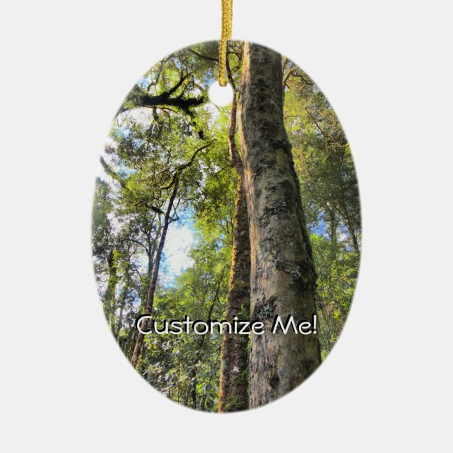 Australian Rainforest Eucalyptus Gum Trees Ceramic Ornament (Front)