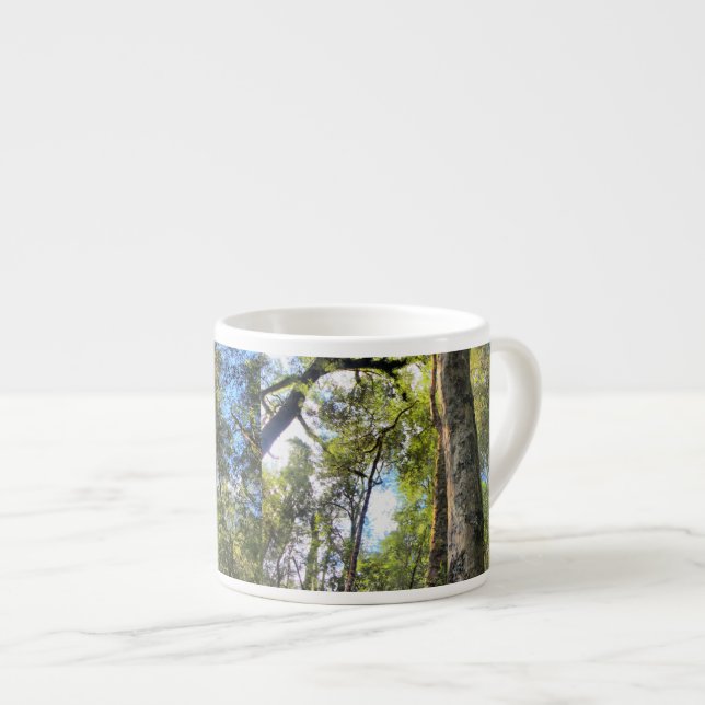 Australian Rainforest Eucalyptus Gum Trees Espresso Cup (Front Right)