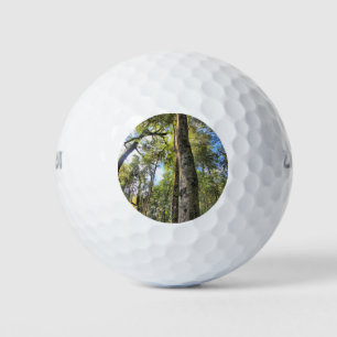 Australian Rainforest Eucalyptus Gum Trees Golf Balls